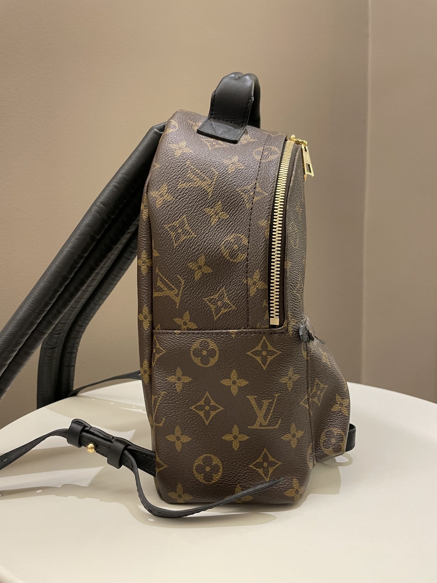 Louis Vuitton Palm Spring Backpack PM Classic Monogram