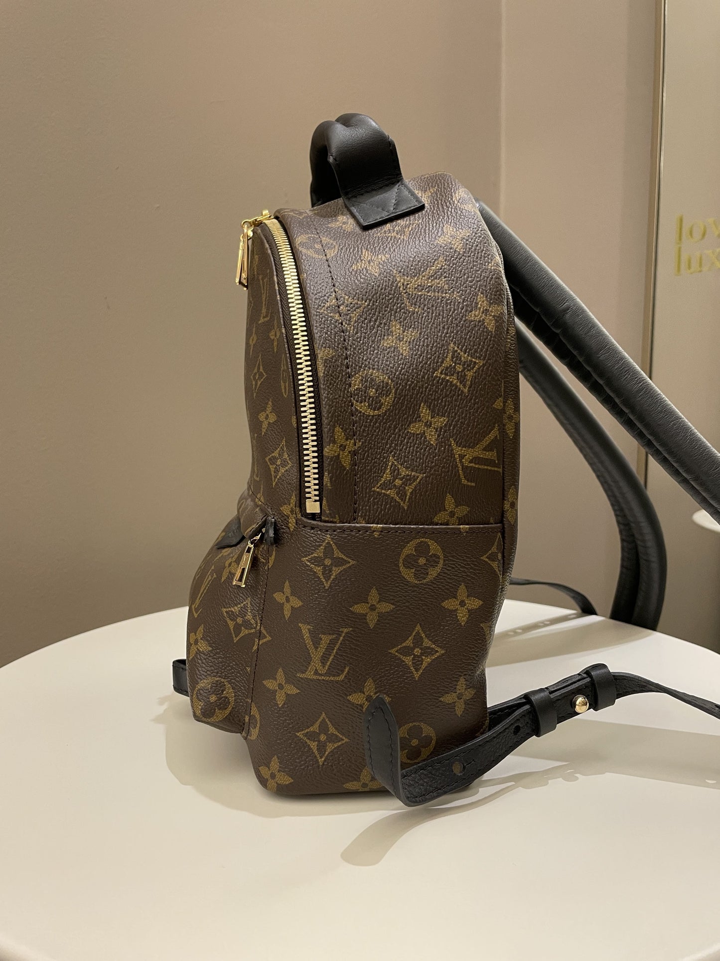 Louis Vuitton Palm Spring Backpack PM Classic Monogram