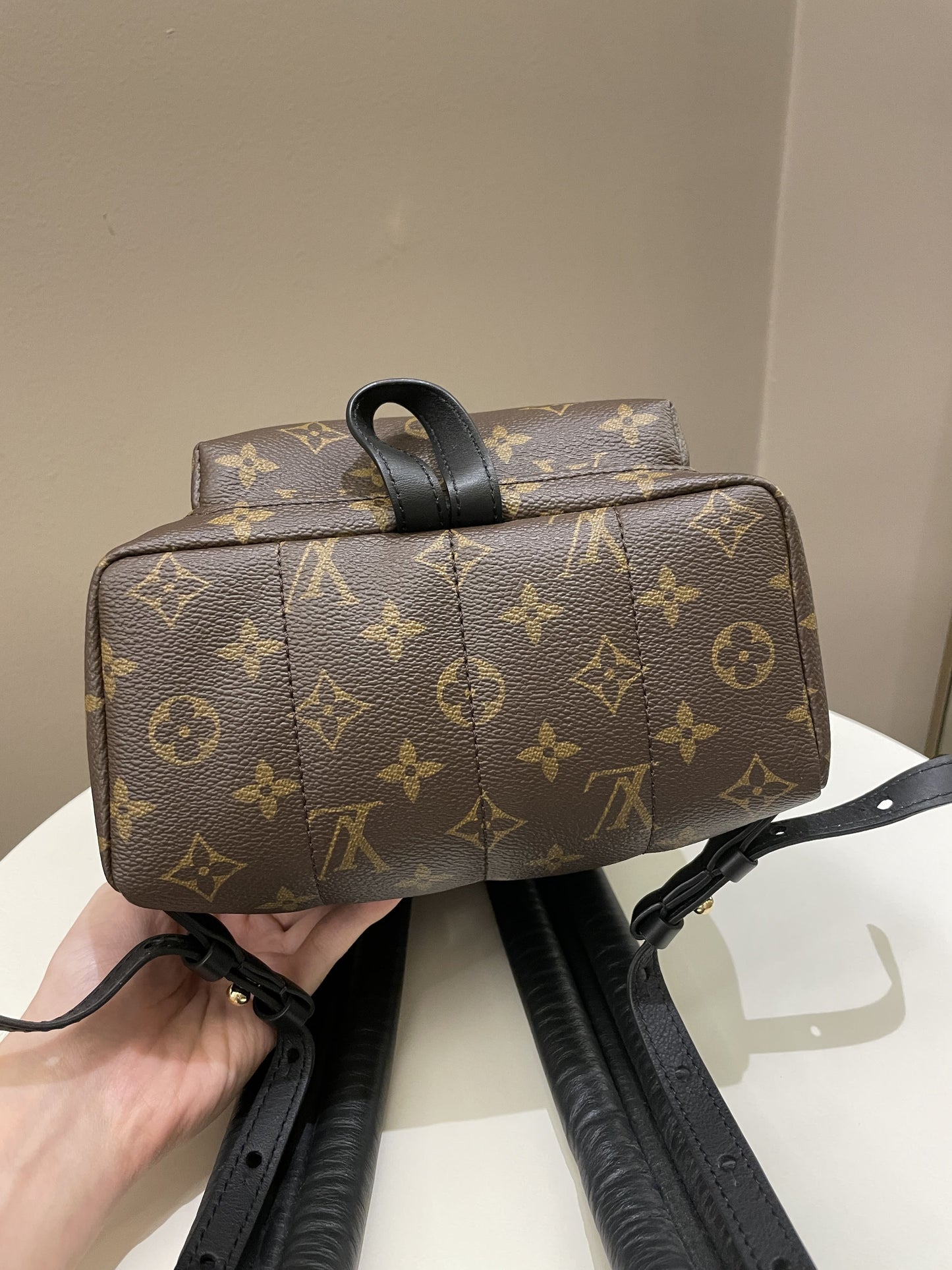 Louis Vuitton Palm Spring Backpack PM Classic Monogram