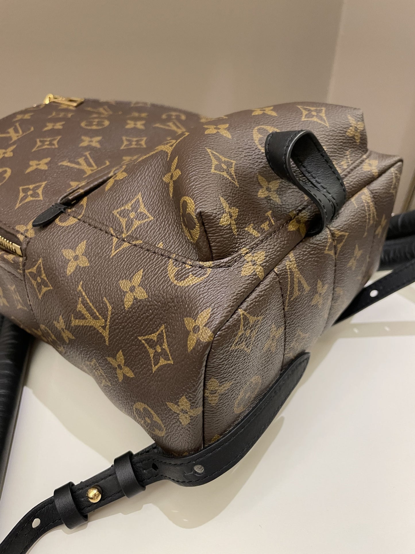 Louis Vuitton Palm Spring Backpack PM Classic Monogram