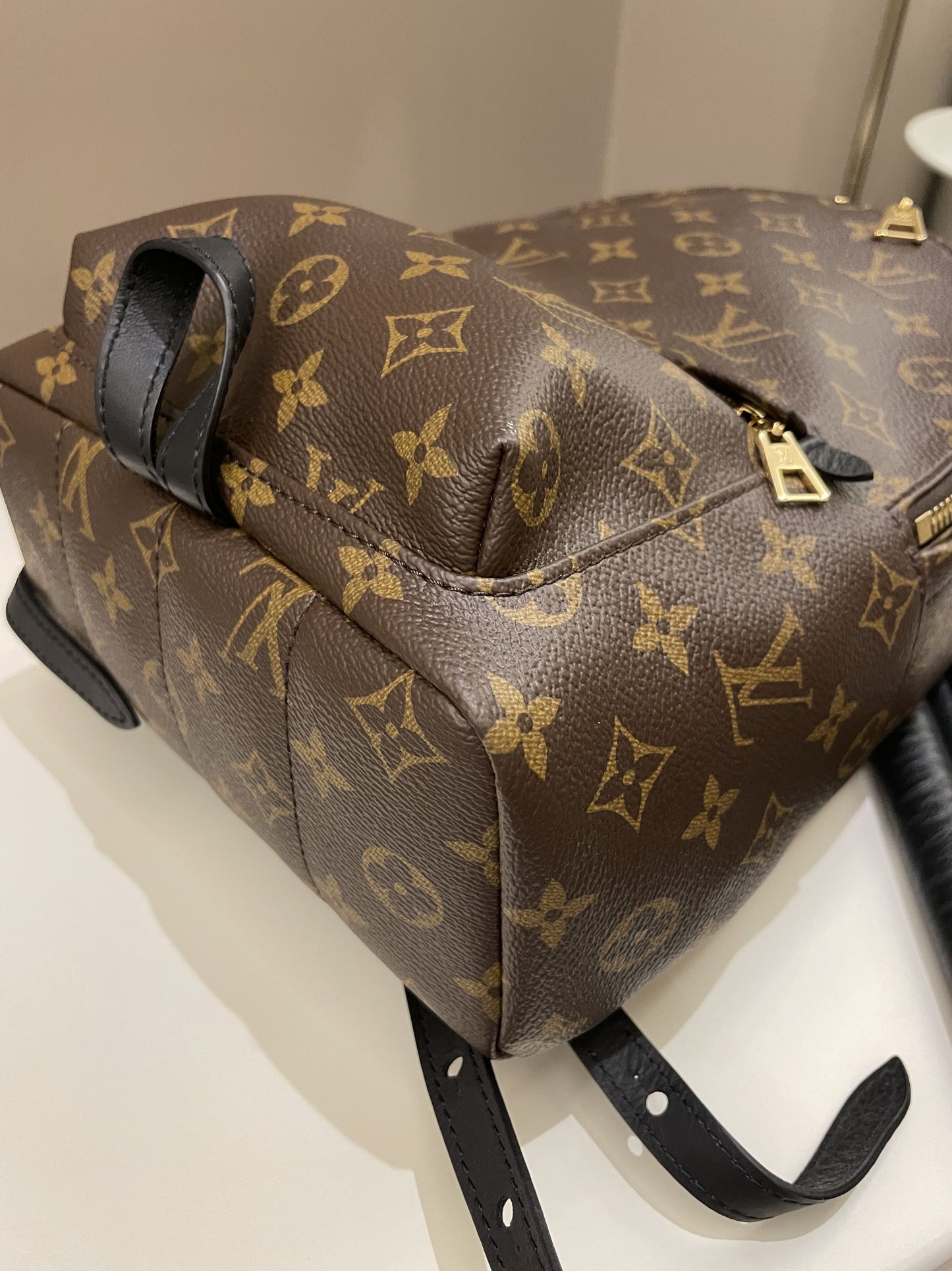 Louis Vuitton Palm Spring Backpack PM Classic Monogram