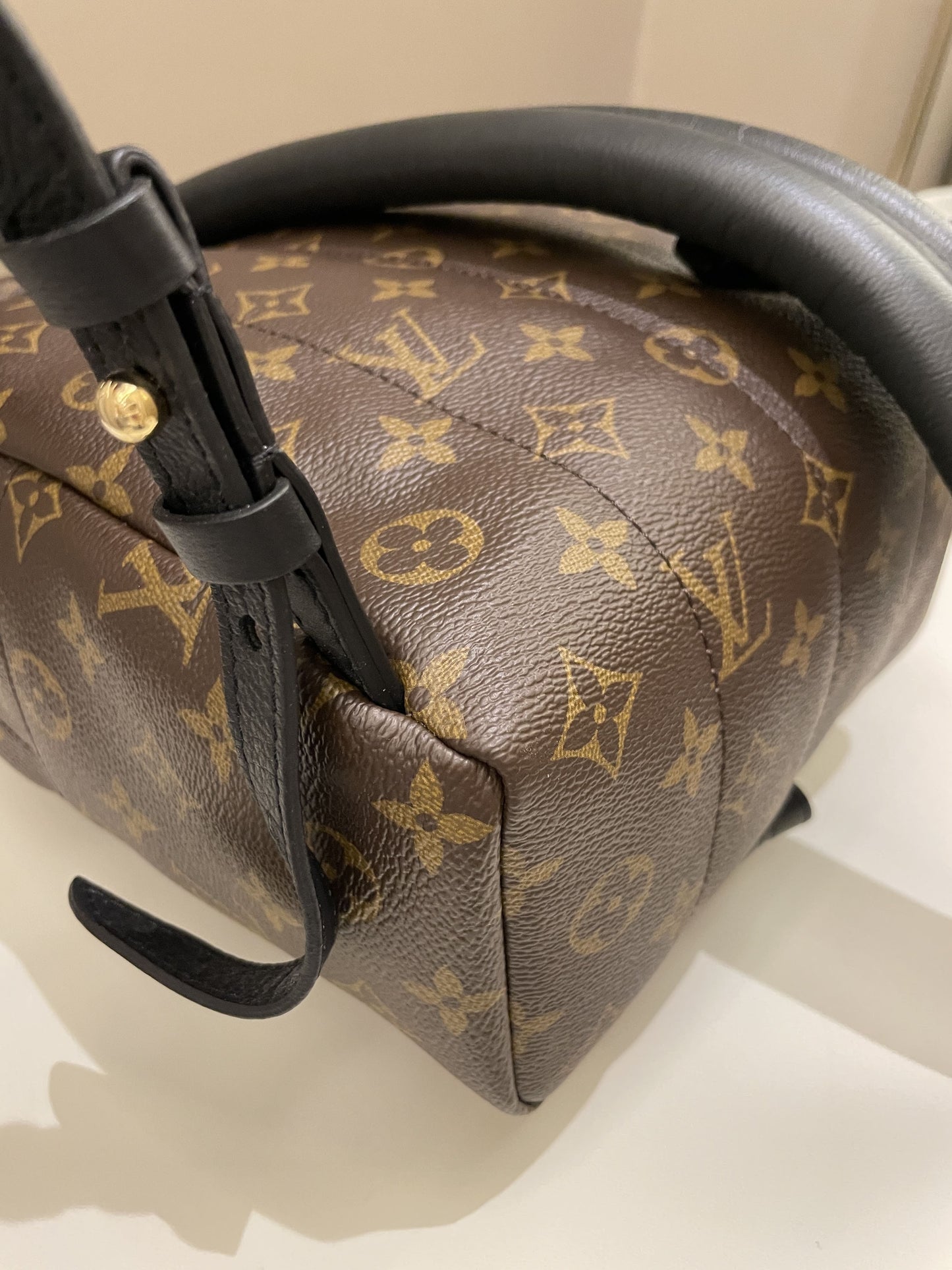 Louis Vuitton Palm Spring Backpack PM Classic Monogram