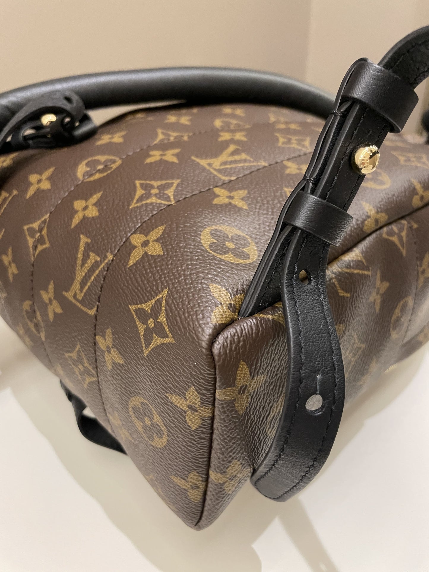 Louis Vuitton Palm Spring Backpack PM Classic Monogram