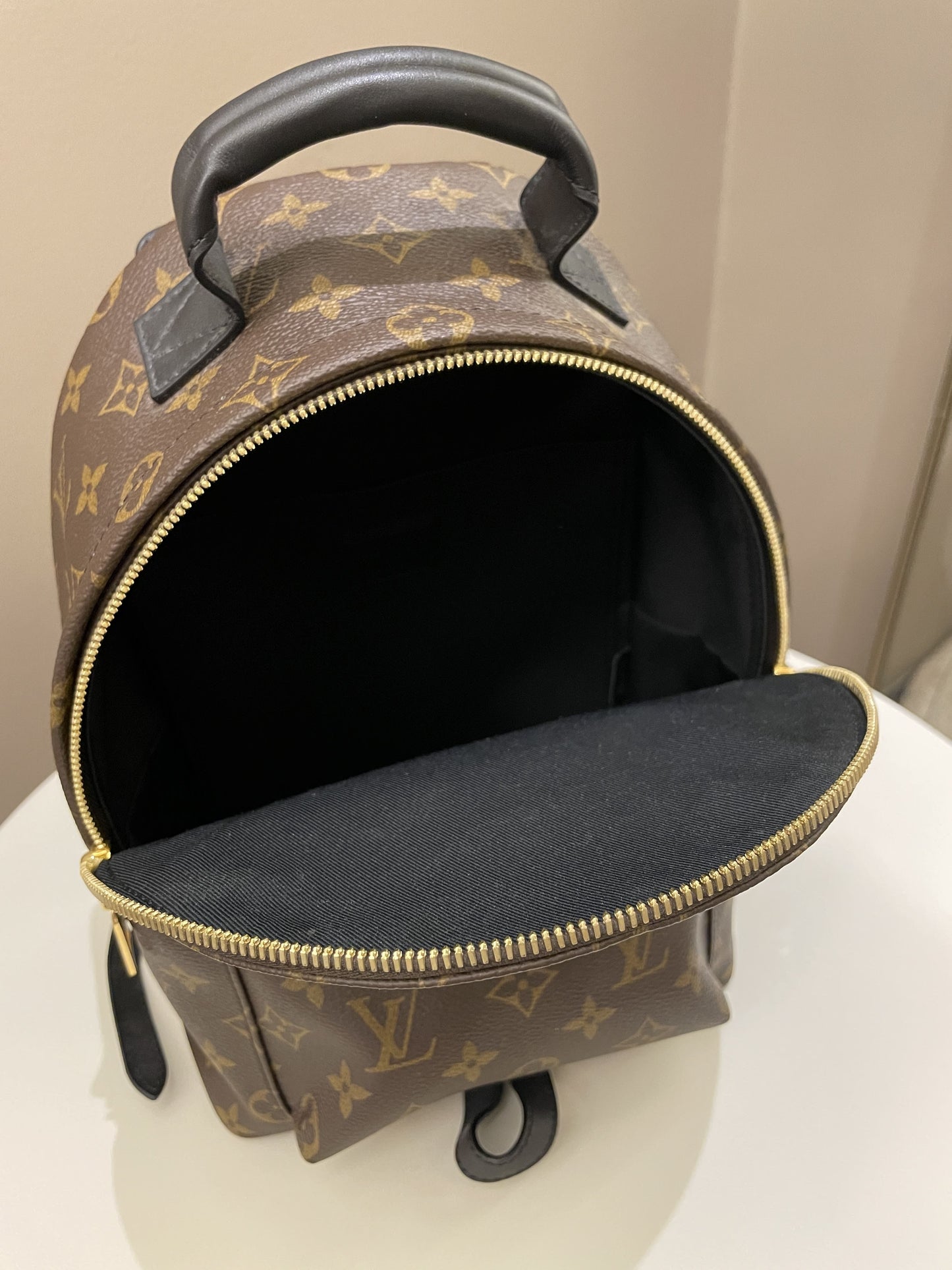 Louis Vuitton Palm Spring Backpack PM Classic Monogram