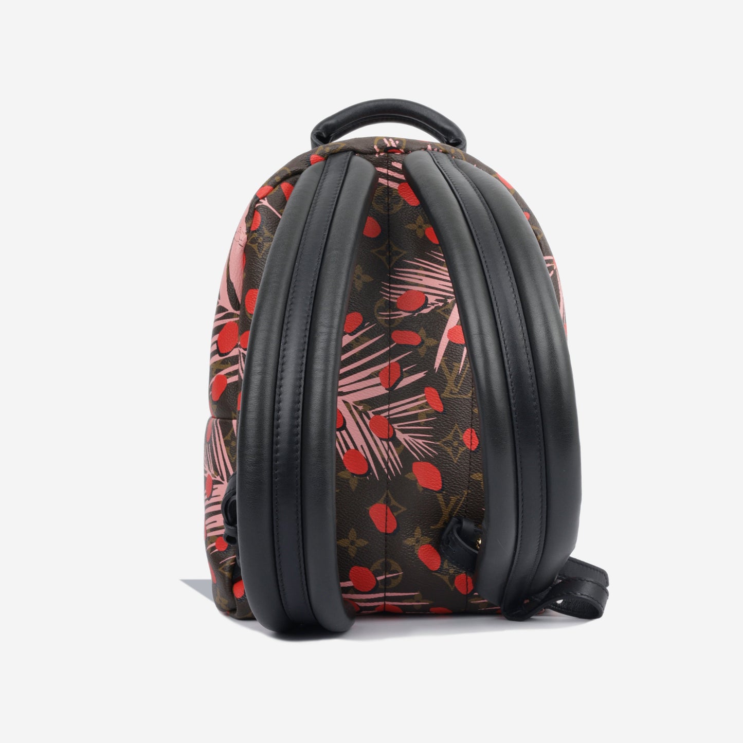 Palm Springs Backpack PM