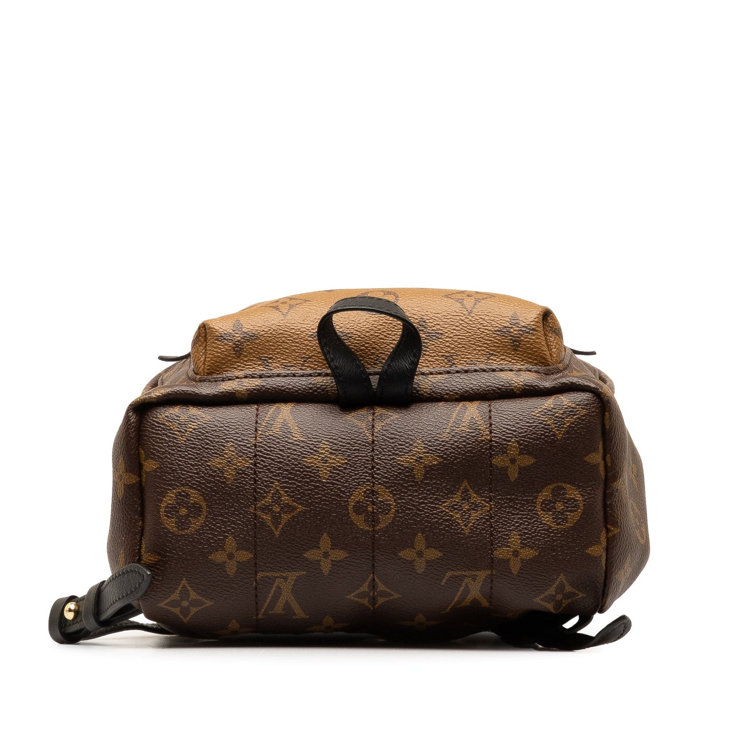 Brown Louis Vuitton Monogram Reverse Palm Springs PM Backpack