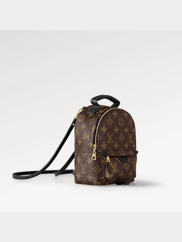 Palm Springs Monogram Mini Backpack Brown