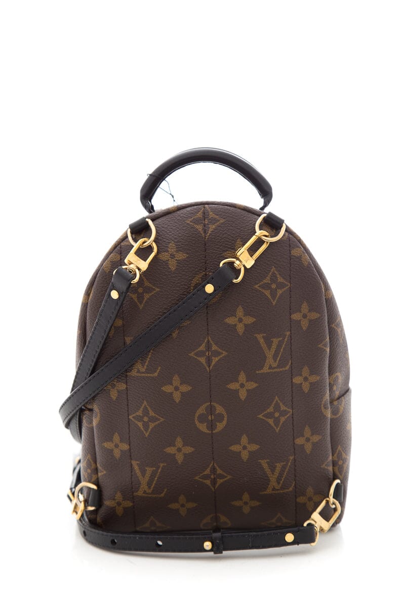 Louis Vuitton Brown Monogram Palm Springs Mini Backpack