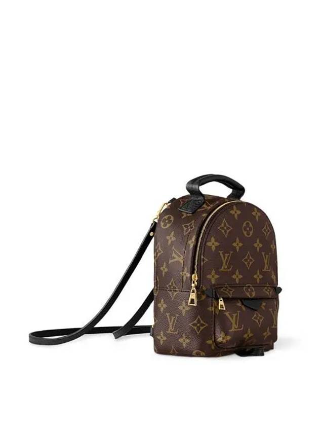 Palm Springs Monogram Mini Backpack Brown