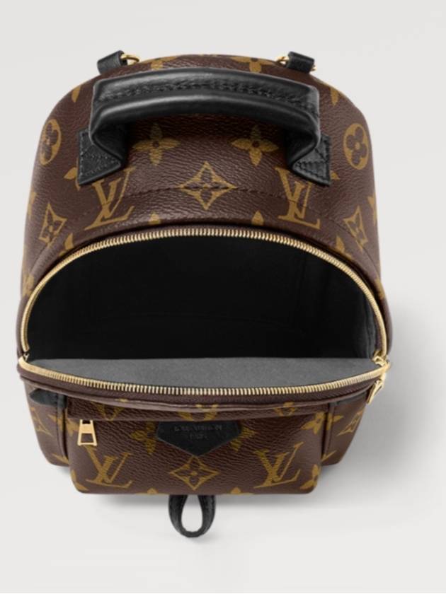 Palm Springs Monogram Mini Backpack Brown