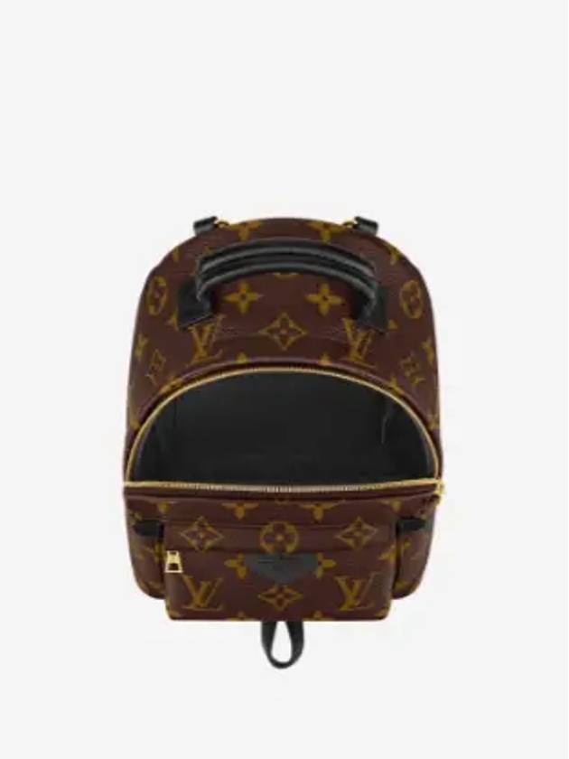 Palm Springs Monogram Mini Backpack Brown