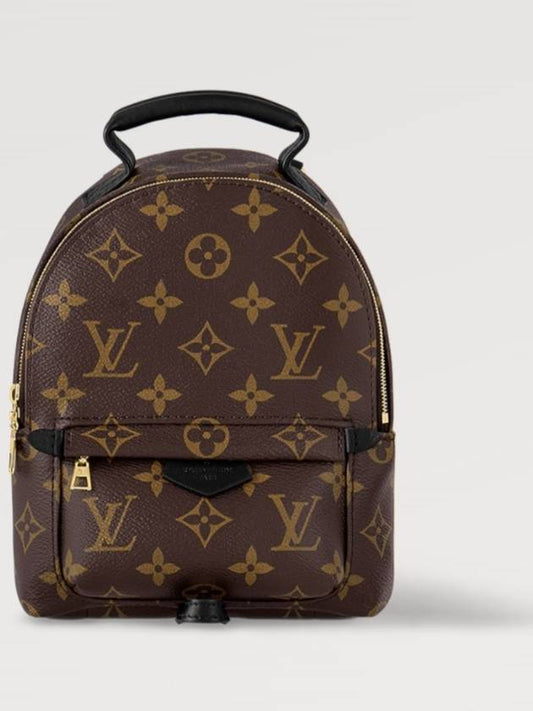 Palm Springs Monogram Mini Backpack Brown