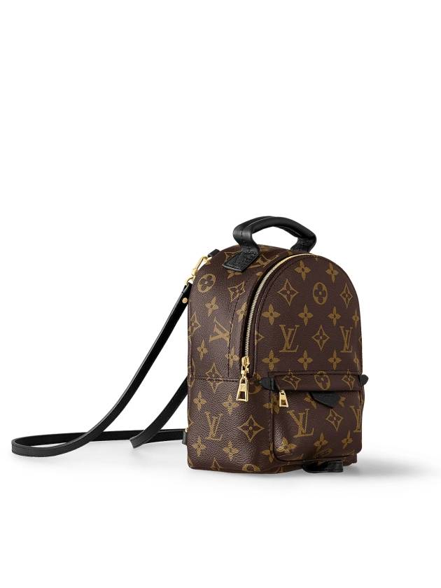 Palm Springs Monogram Mini Backpack Brown