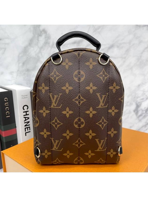 Palm Springs Monogram Mini Backpack Brown