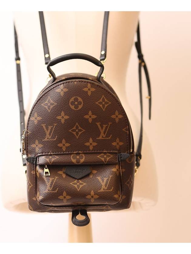 Palm Springs Monogram Mini Backpack Brown