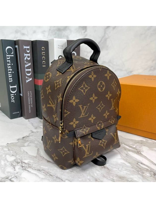 Palm Springs Monogram Mini Backpack Brown