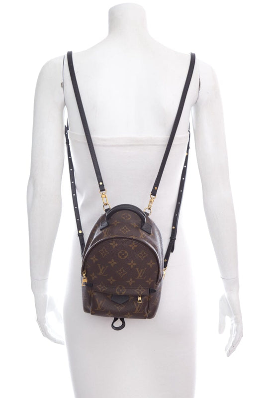 Louis Vuitton Brown Monogram Palm Springs Mini Backpack