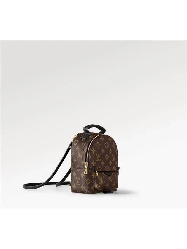 Palm Springs Monogram Mini Backpack Brown