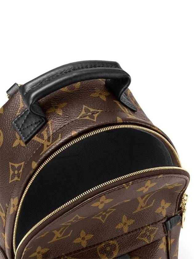 Palm Springs Monogram Mini Backpack Brown