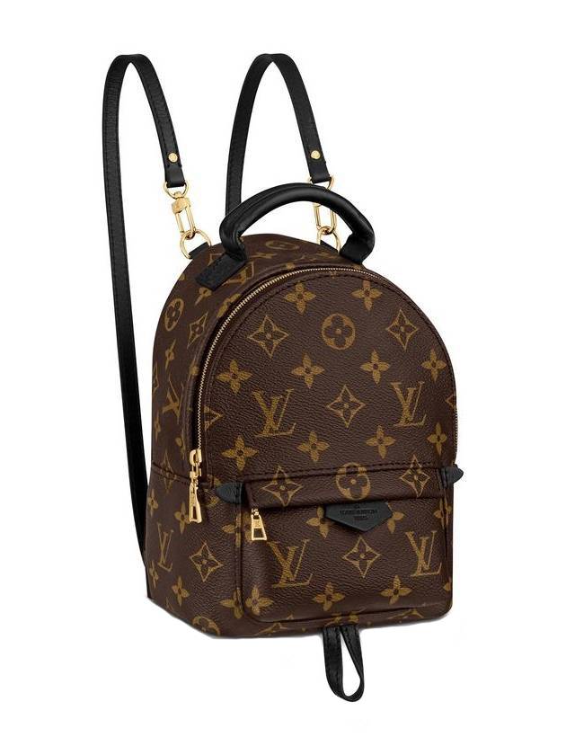 Palm Springs Monogram Mini Backpack Brown