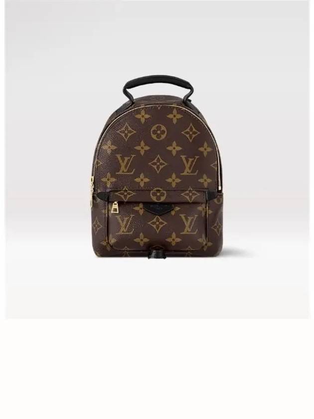 Palm Springs Monogram Mini Backpack Brown