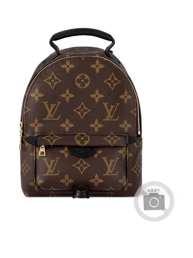 Palm Springs Monogram Mini Backpack Brown