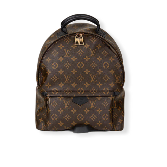 Louis Vuitton Palm Springs MM Backpack