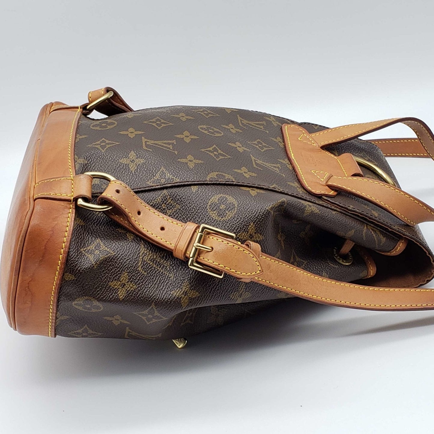 Louis Vuitton Montsouris MM Browns Monogram Backpack